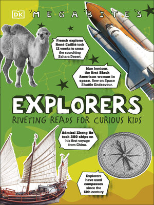 cover image of Explorers
